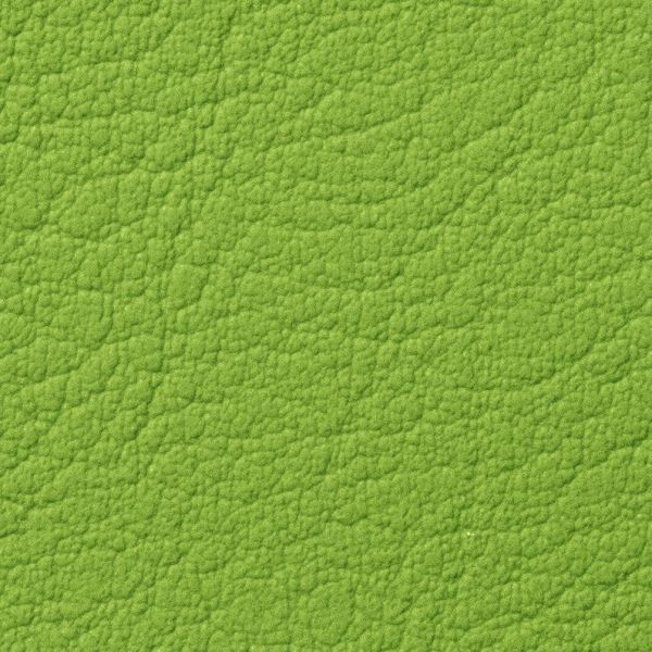 Faux leather Ortona Green