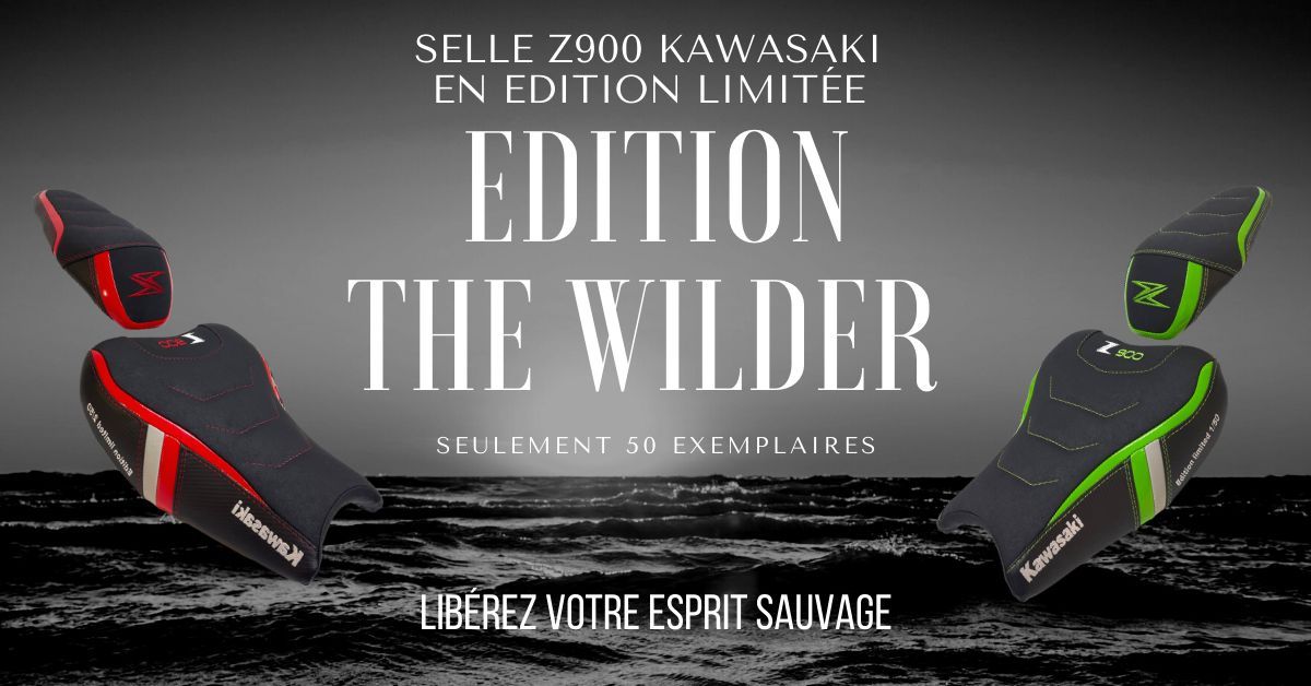 EDITION LIMITEE THE WILDER Kawasaki Z900